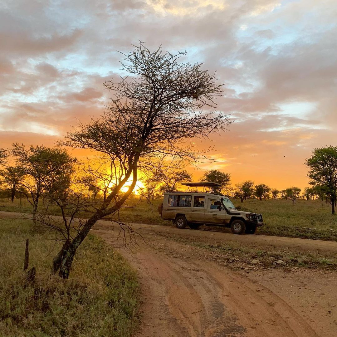 4 Days Mid Range Lodge Safari - Explore Tarangire, Ngorongoro, and Serengeti